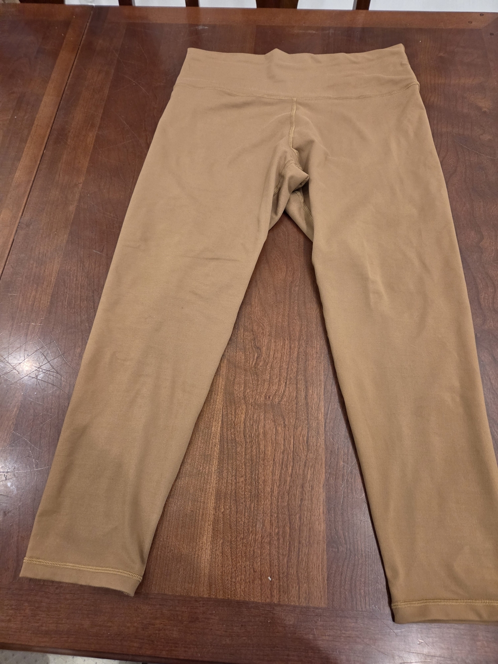 aerie Womens Tan Stretch Leggings